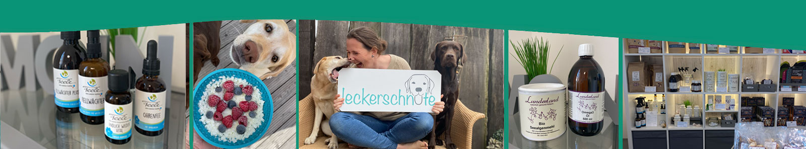 Hundephysio Ostsee